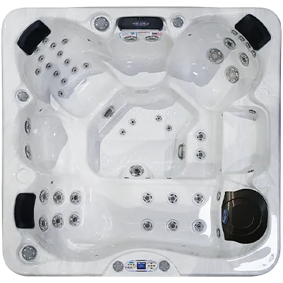 Avalon EC-849L hot tubs for sale in Redmond