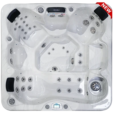 Avalon-X EC-849LX hot tubs for sale in Redmond