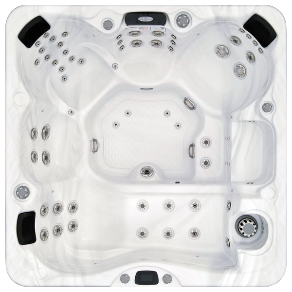 Avalon-X EC-867LX hot tubs for sale in Redmond